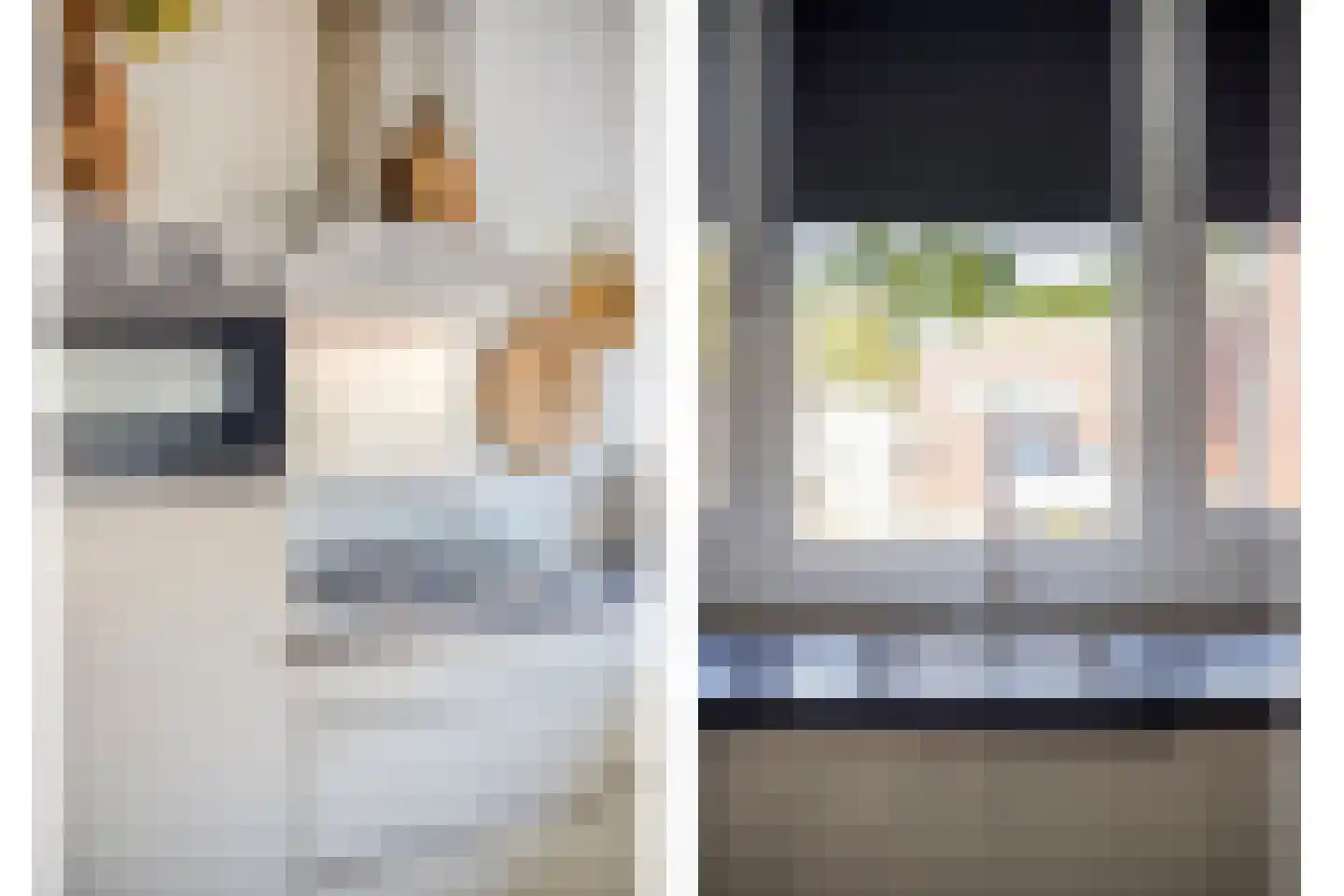 Weidehof 8 Wanssum thumbnail 16