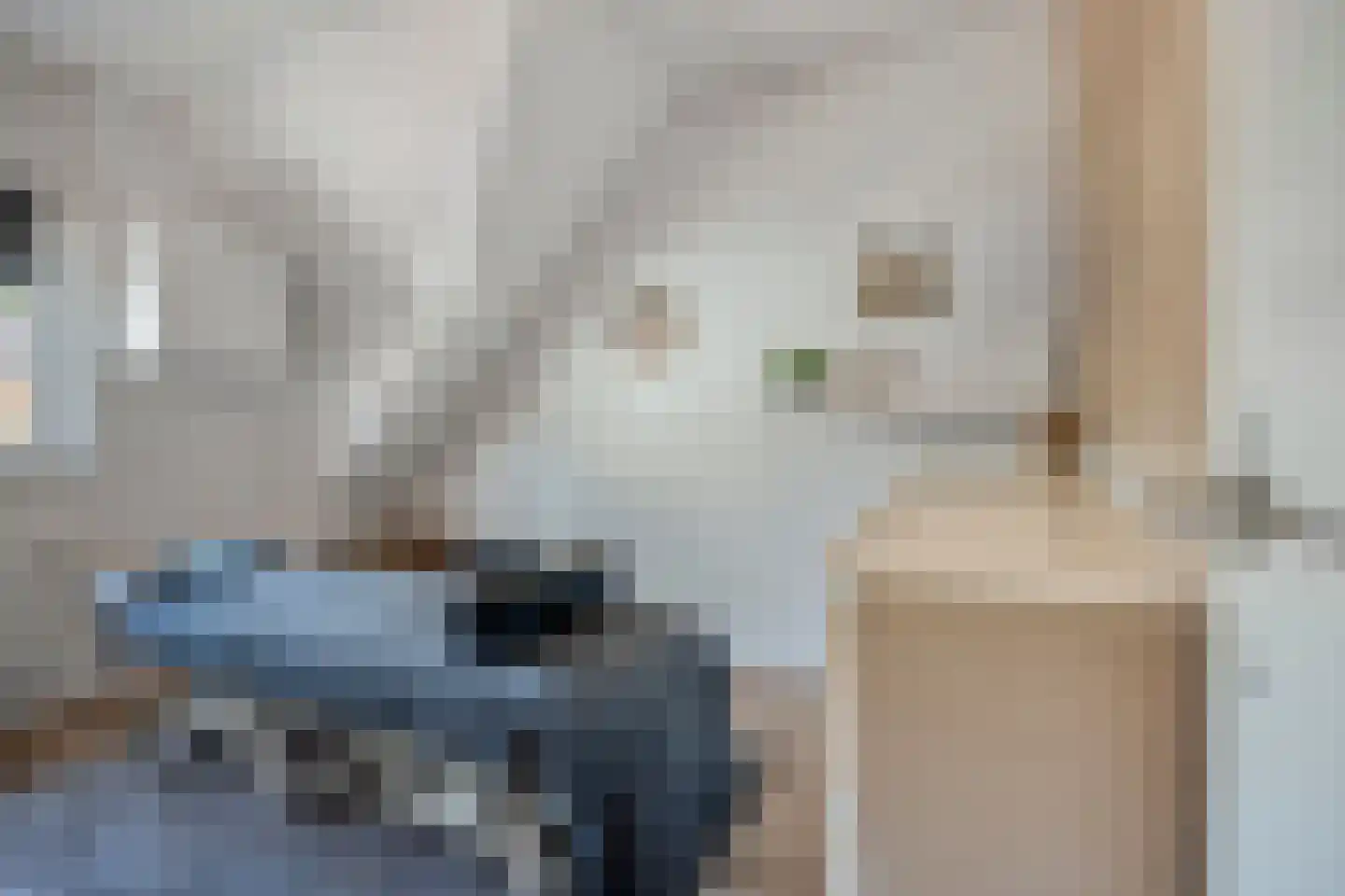 Weidehof 8 Wanssum thumbnail 19