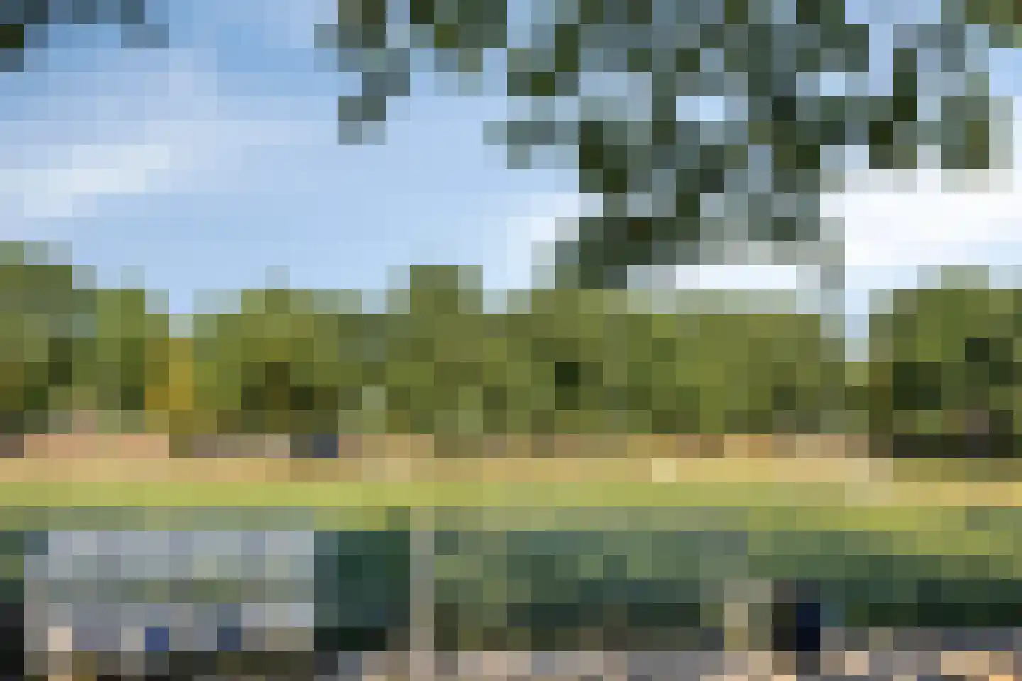 Weidehof 8 Wanssum thumbnail 41