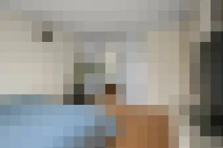 Weidehommel 18 Krommenie thumbnail 20