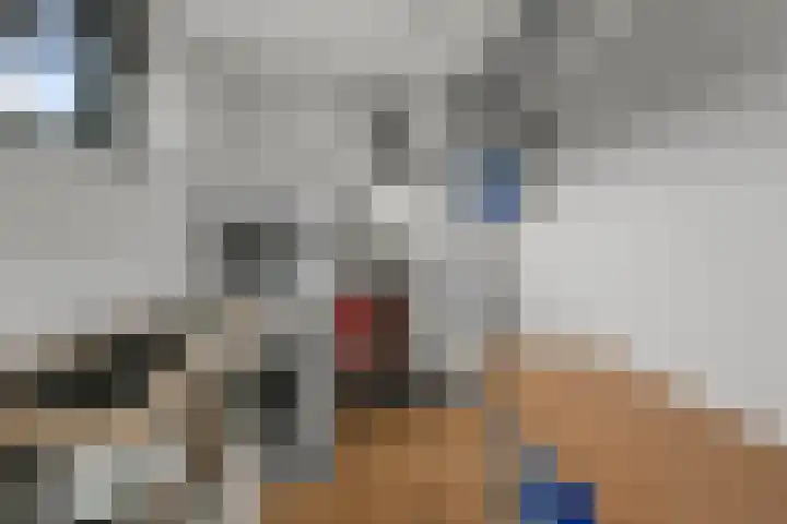 Weidehommel 18 Krommenie thumbnail 21