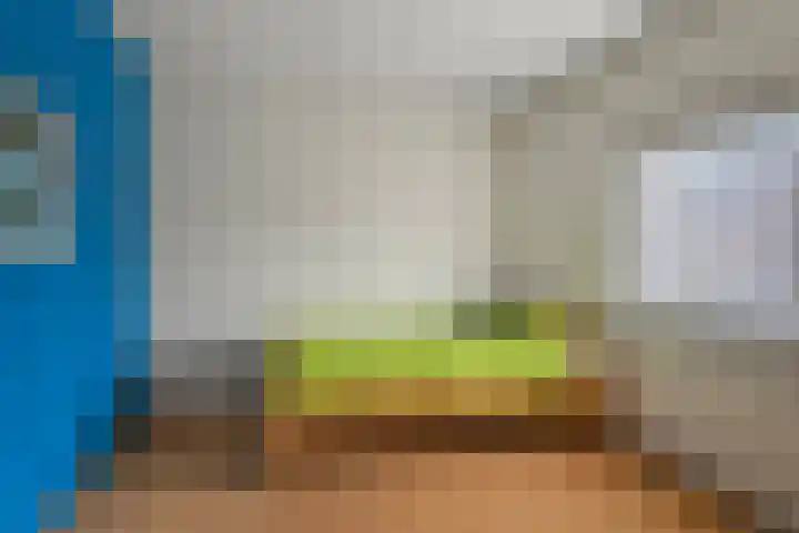 Weidehommel 18 Krommenie thumbnail 22