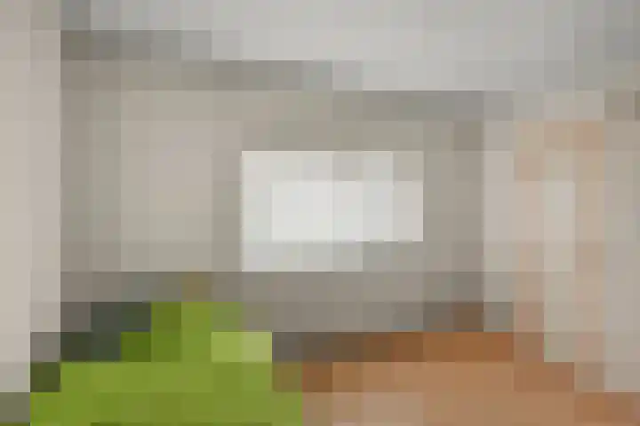 Weidehommel 18 Krommenie thumbnail 24