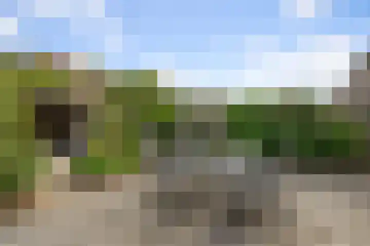 Weidehommel 18 Krommenie thumbnail 34