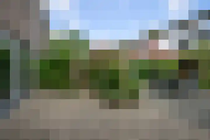 Weidehommel 18 Krommenie thumbnail 36