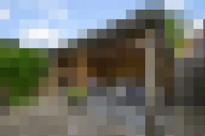 Weidehommel 18 Krommenie thumbnail 38