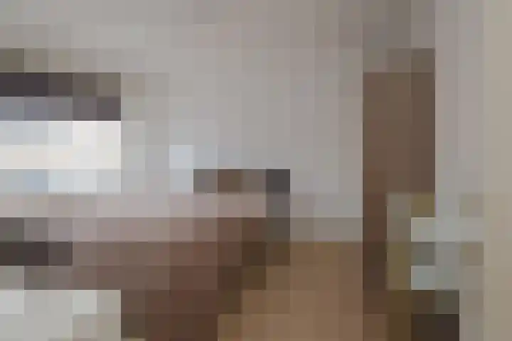 Weidehuislaan 11 Almelo thumbnail 12