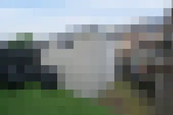 Weidehuislaan 11 Almelo thumbnail 26