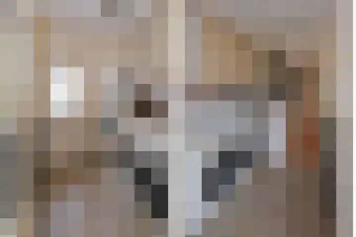 Weidehuislaan 11 Almelo thumbnail 9