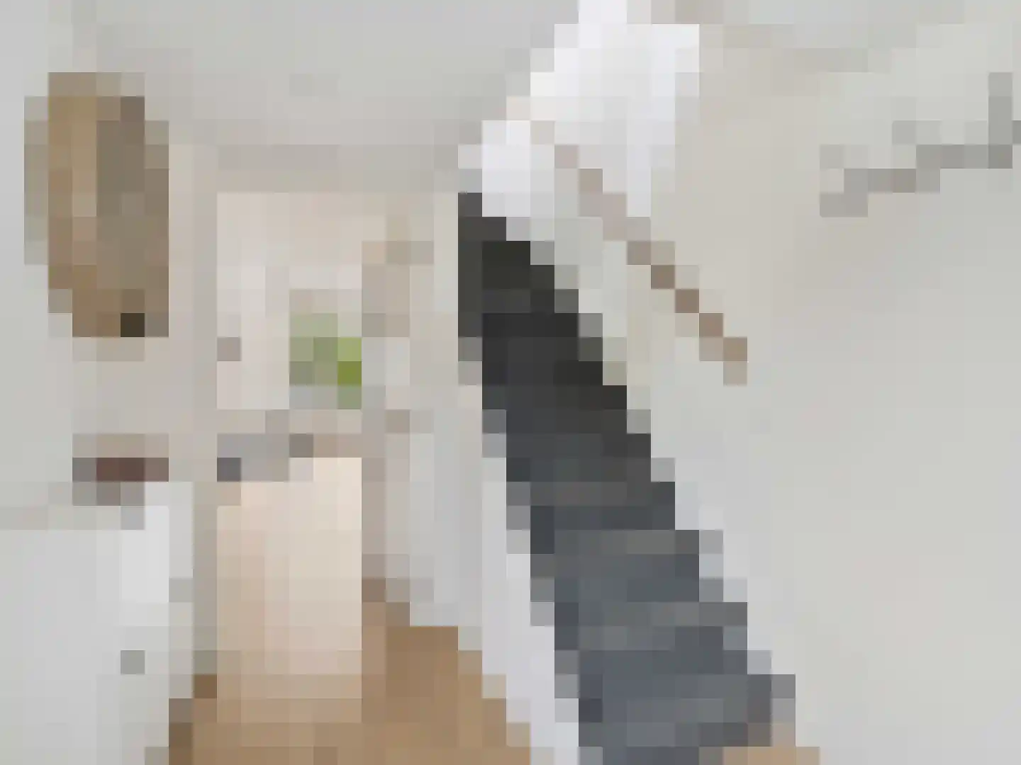 Weidekamp 3 Vianen thumbnail 16