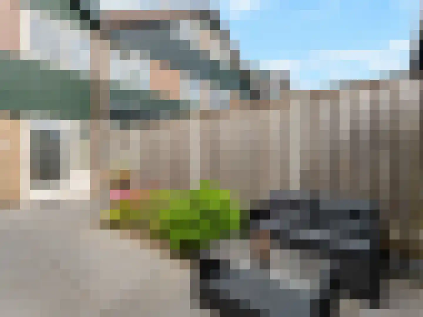 Weidekamp 3 Vianen thumbnail 34