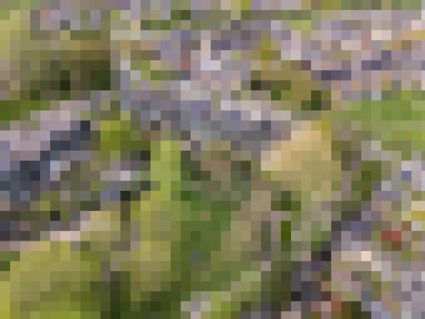 Weidekamp 3 Vianen thumbnail 47