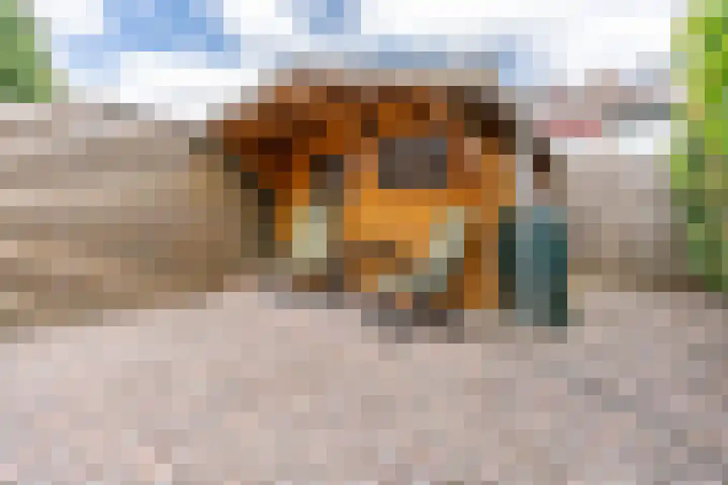 Weidekamp 54 Vianen thumbnail 40