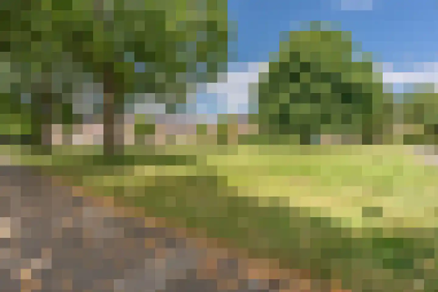 Weidekamp 54 Vianen thumbnail 43