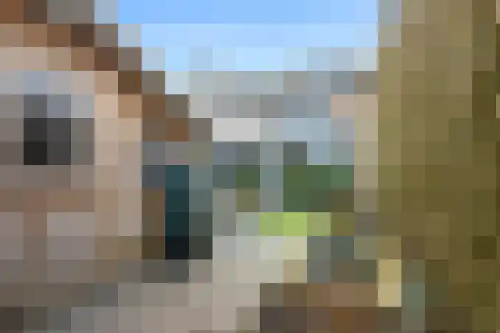 Weidekamp 56 Vianen thumbnail 28
