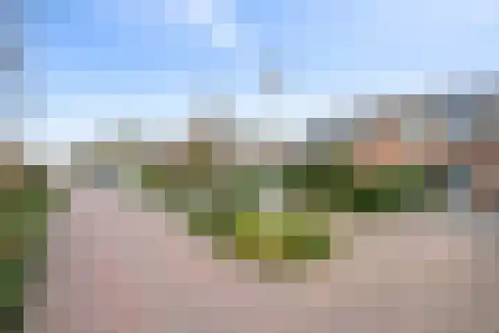 Weidekamp 56 Vianen thumbnail 32