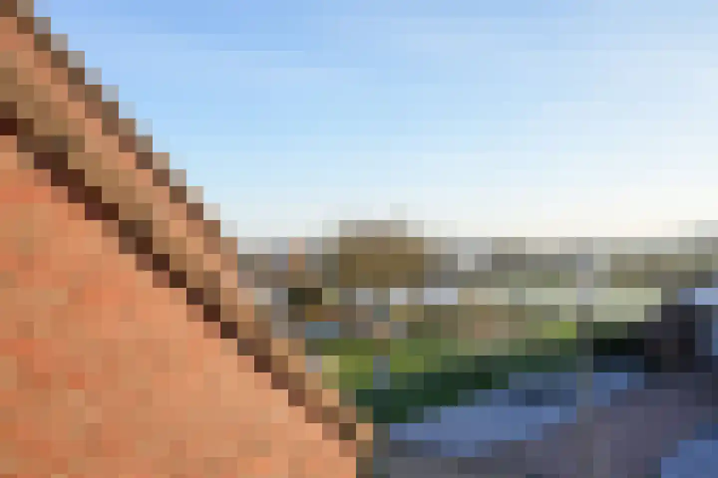 Weideklokje 12 Vijlen thumbnail 16