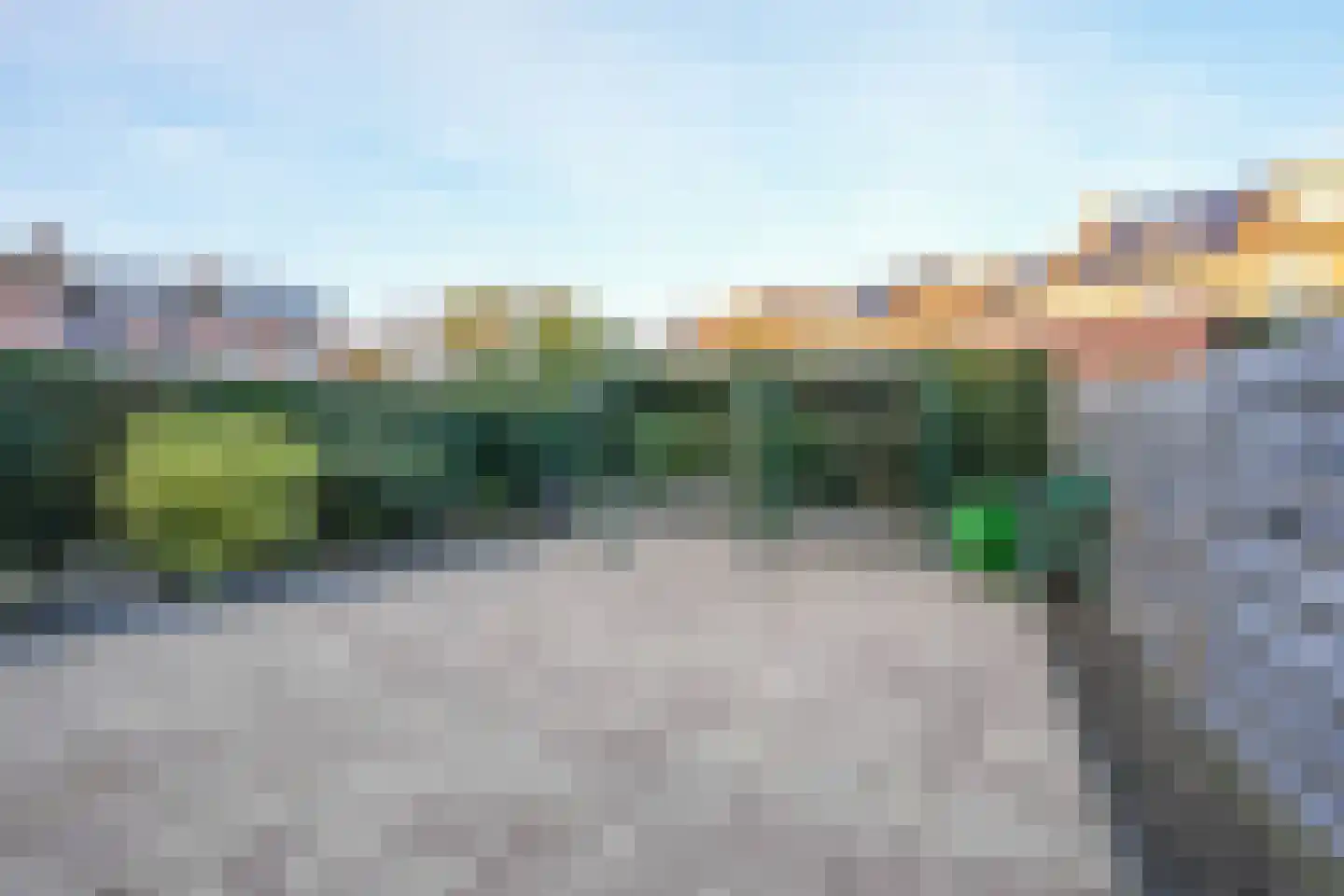 Weideklokje 12 Vijlen thumbnail 21