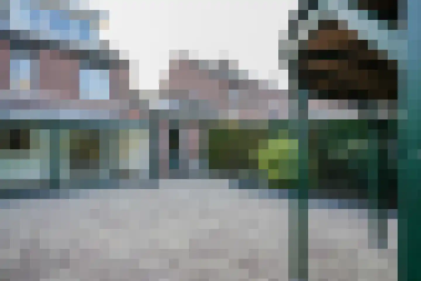 Weideklokje 12 Vijlen thumbnail 24