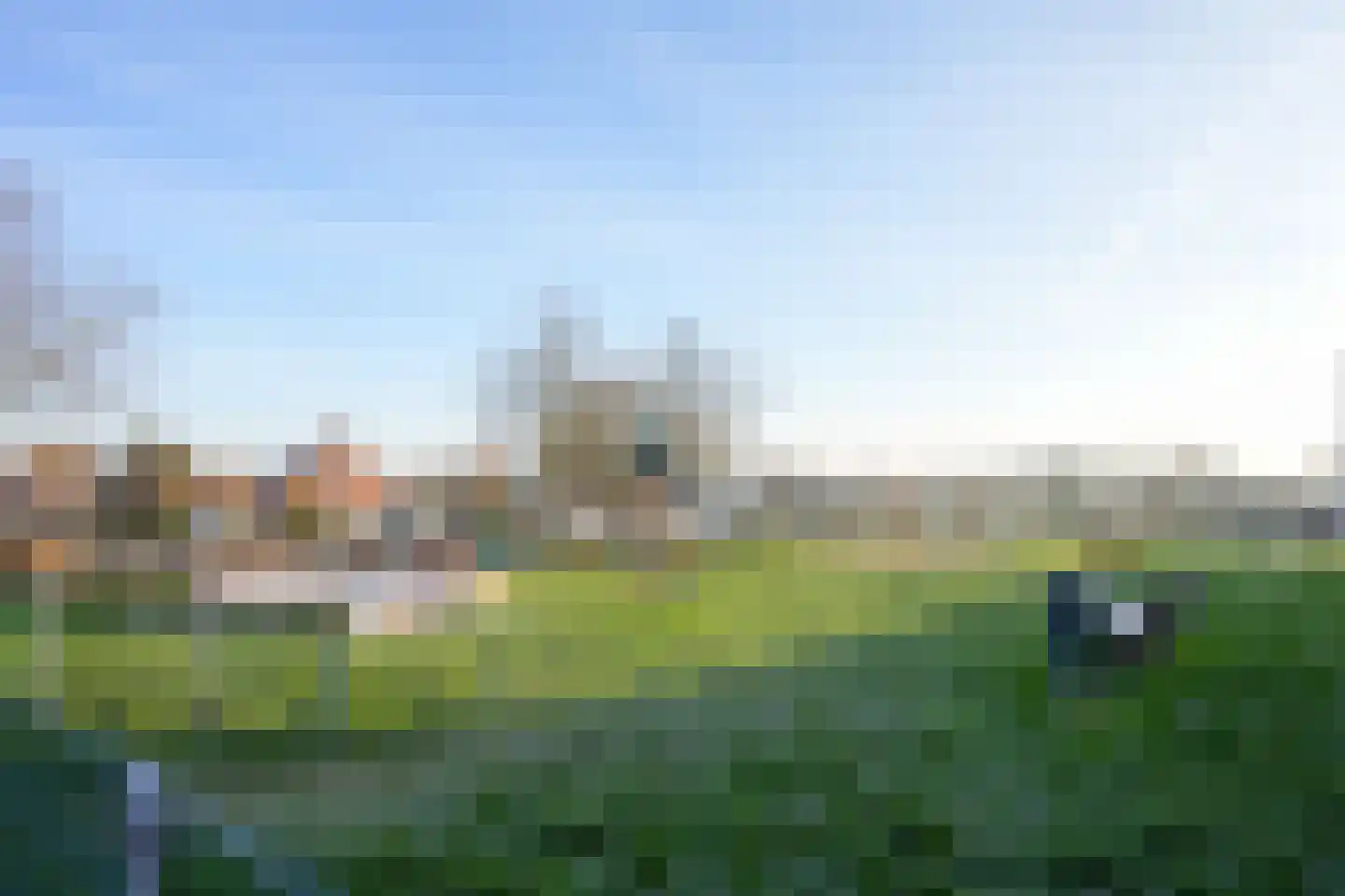 Weideklokje 12 Vijlen thumbnail 32