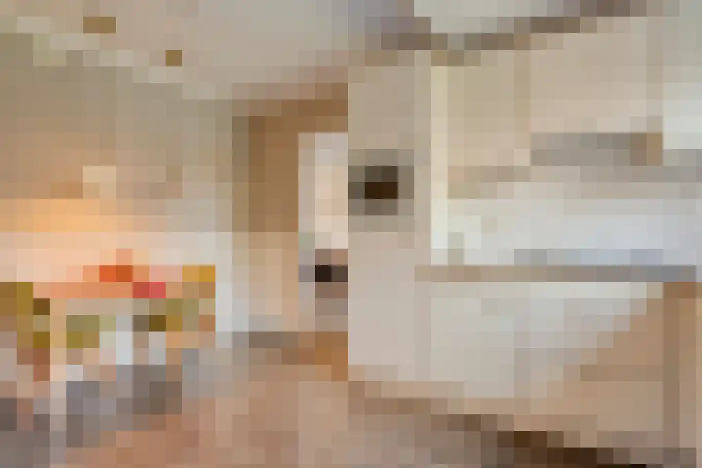 Weidelaan 156 Raalte thumbnail 21