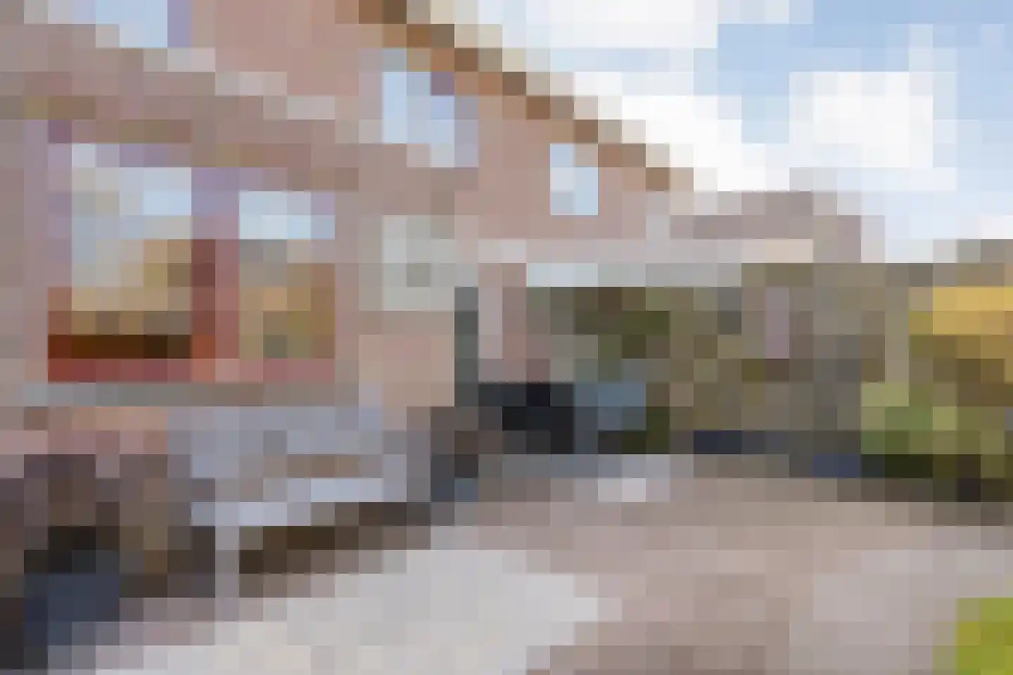 Weidelaan 156 Raalte thumbnail 39