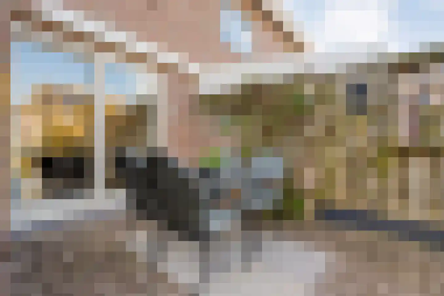 Weidelaan 156 Raalte thumbnail 40