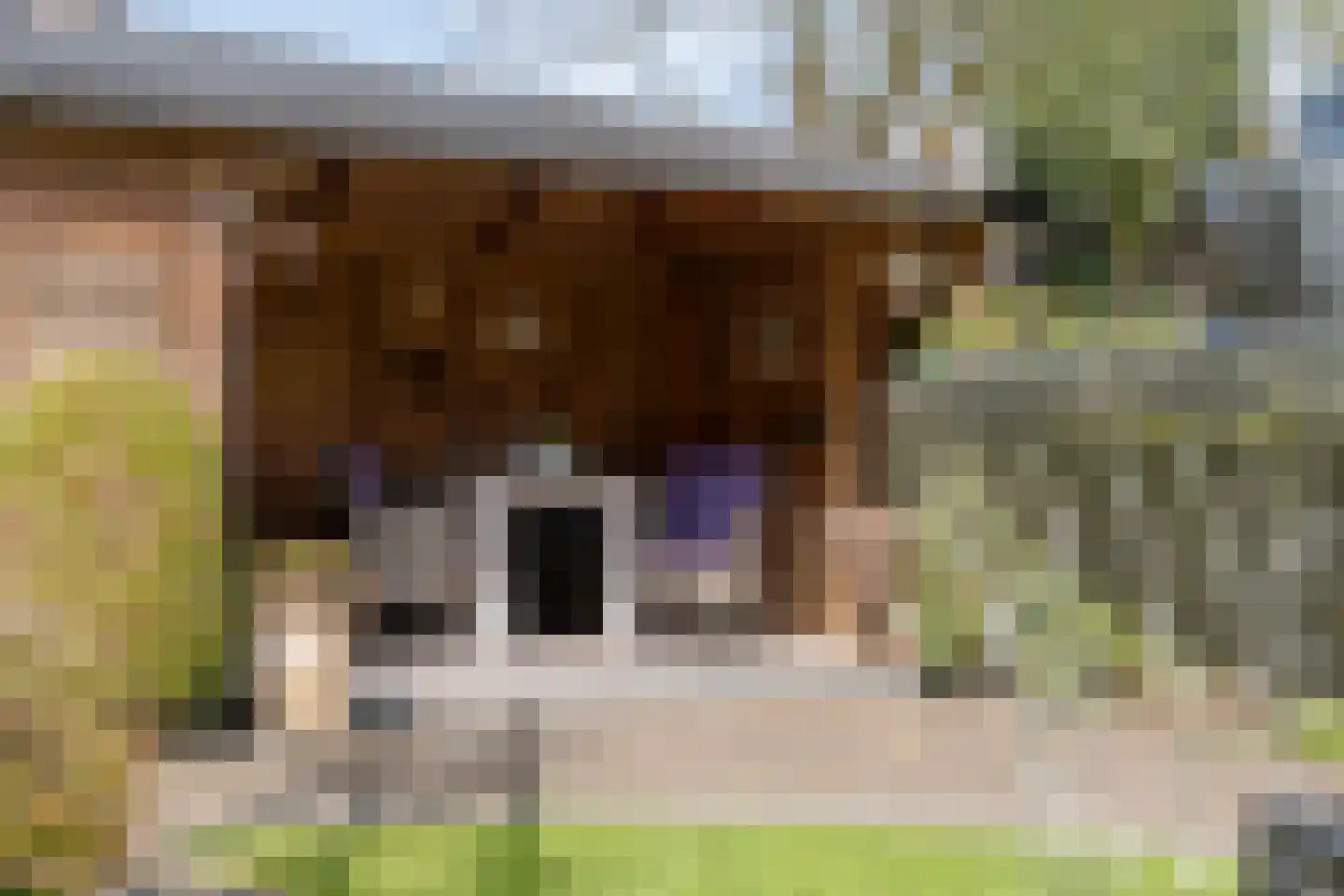 Weidelaan 156 Raalte thumbnail 43