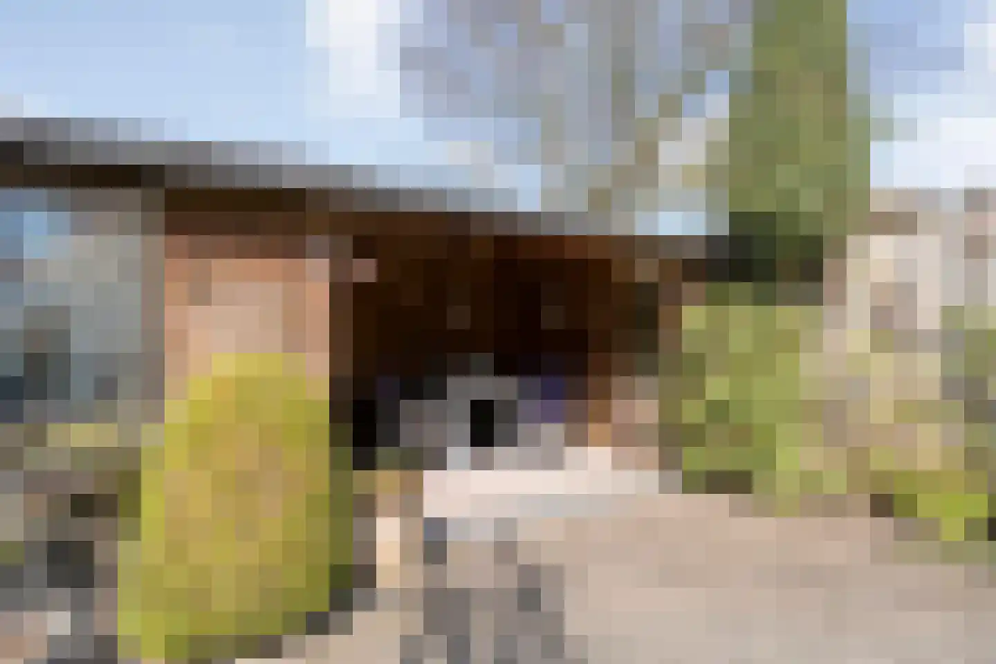 Weidelaan 156 Raalte thumbnail 44