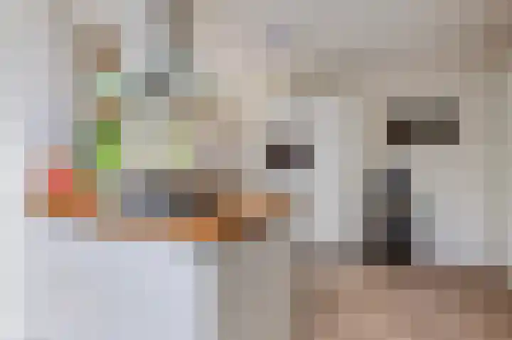Weidelaan 163 Raalte thumbnail 10