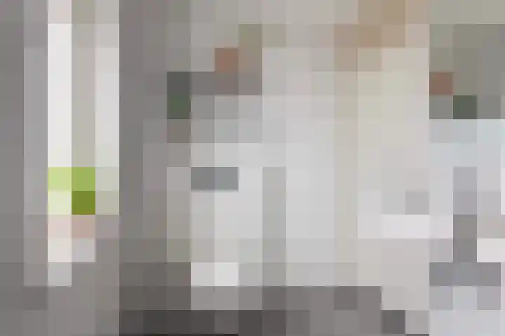Weidelaan 163 Raalte thumbnail 24