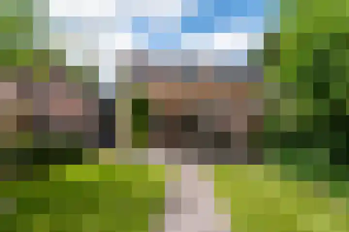 Weidelaan 163 Raalte thumbnail 30