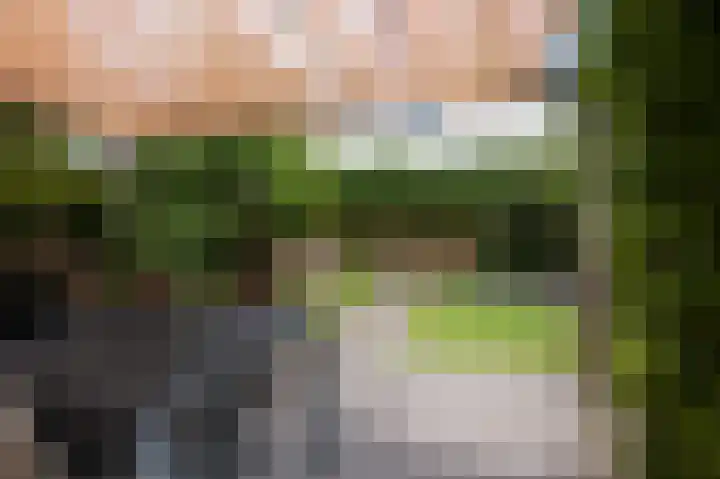 Weidelaan 163 Raalte thumbnail 32