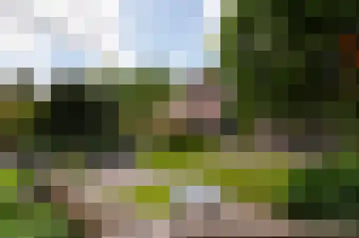 Weidelaan 163 Raalte thumbnail 33