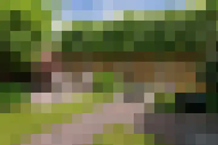 Weidelaan 163 Raalte thumbnail 34