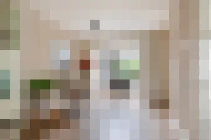 Weidelaan 163 Raalte thumbnail 8
