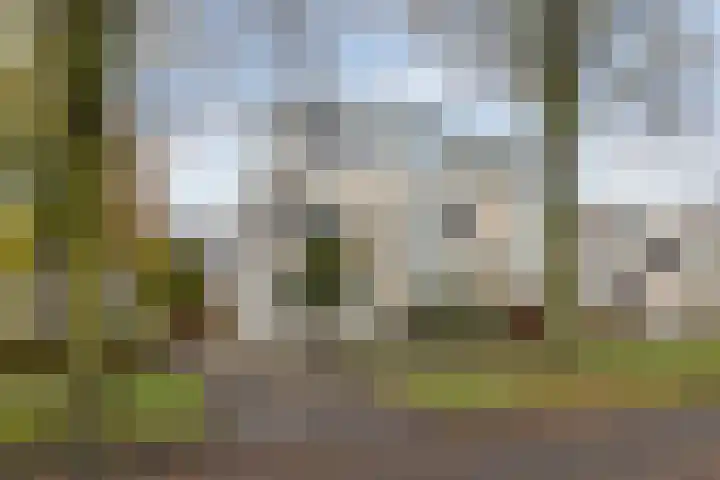 Weidelaan 170 en Raalte