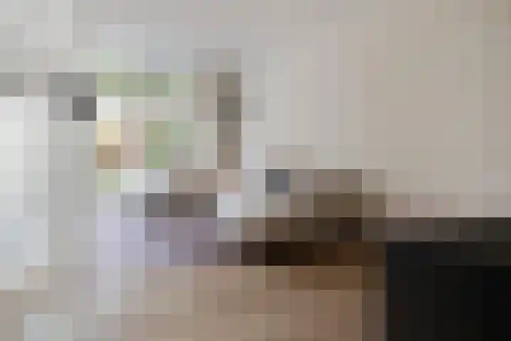 Weidelaan 170 Raalte thumbnail 12