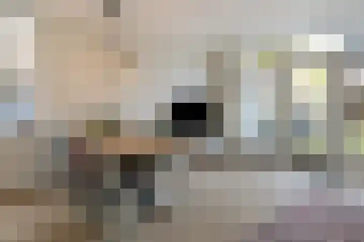 Weidelaan 170 Raalte thumbnail 13