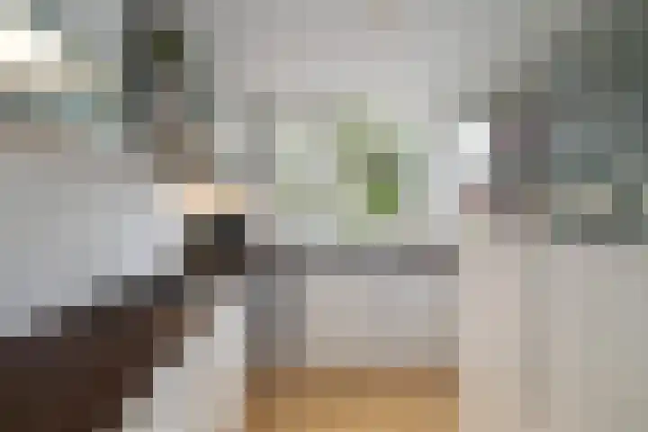 Weidelaan 170 Raalte thumbnail 15