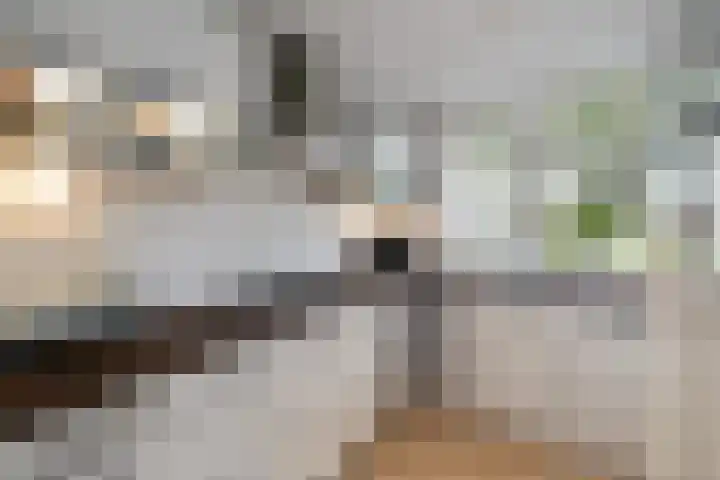 Weidelaan 170 Raalte thumbnail 16