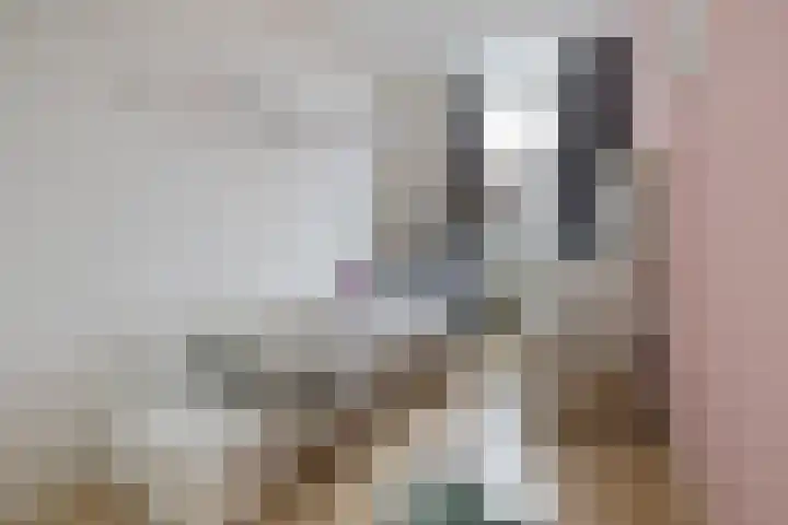 Weidelaan 170 Raalte thumbnail 20