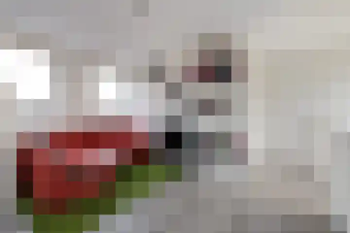 Weidelaan 170 Raalte thumbnail 28