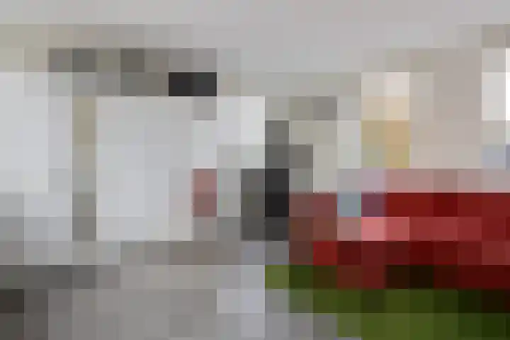 Weidelaan 170 Raalte thumbnail 29