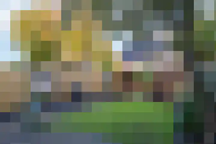 Weidelaan 170 Raalte thumbnail 31