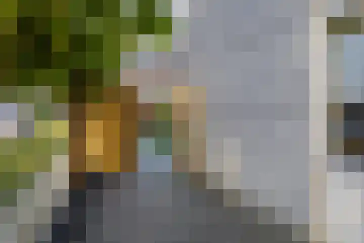 Weidelaan 170 Raalte thumbnail 34