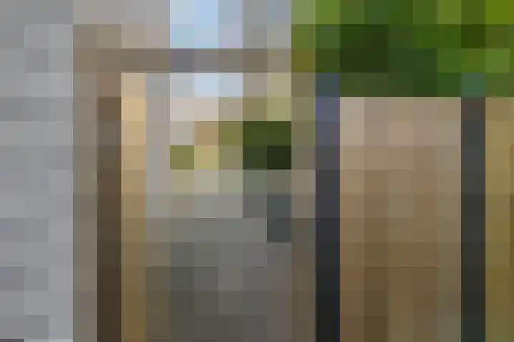 Weidelaan 170 Raalte thumbnail 35