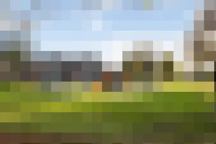 Weidelaan 170 Raalte thumbnail 36