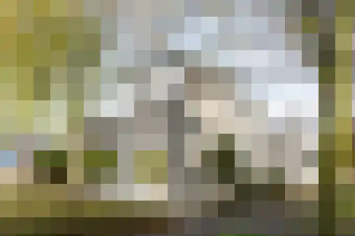 Weidelaan 170 Raalte thumbnail 4