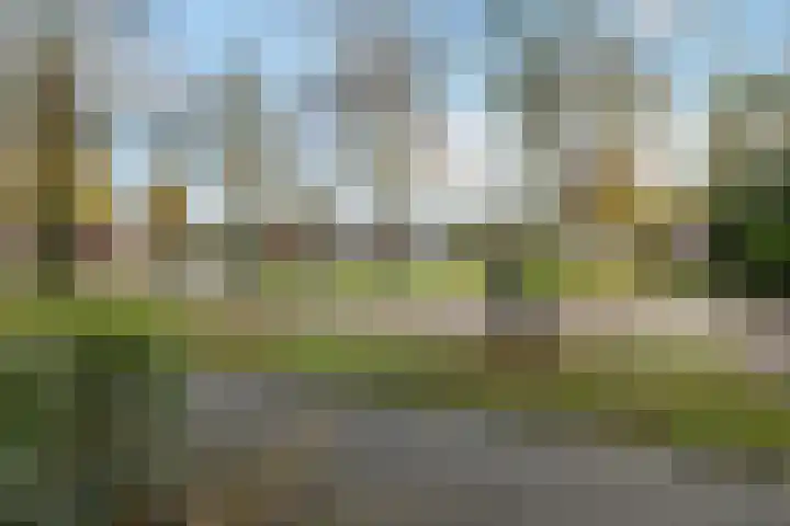 Weidelaan 170 Raalte thumbnail 5